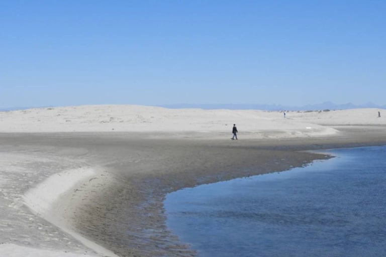 A lone person walks along a curved sand and mud shoreline where blue water meets pale sandy beach under a clear sky