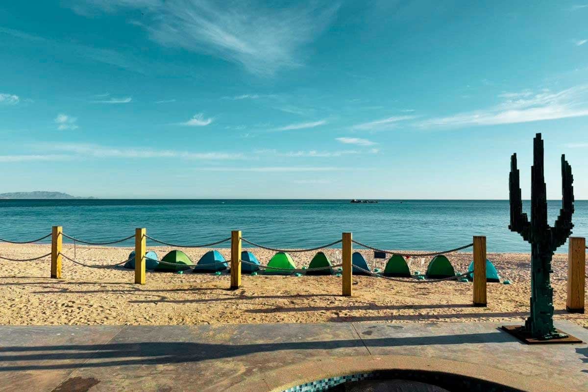 Beach scene with colorful kite boards lined up along rope barriers, turquoise ocean, and a black cactus sculpture under clear blue sky