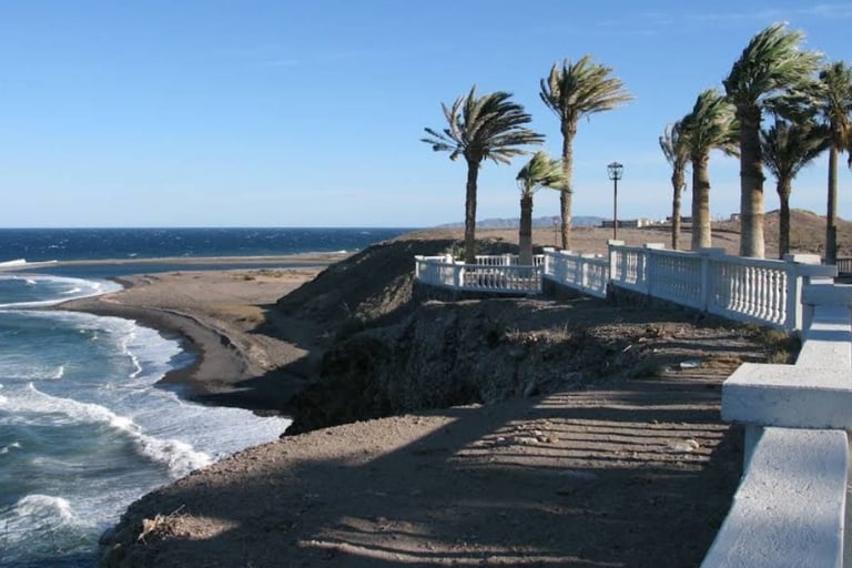 Coastal viewpoint with white railing, palm trees, and dramatic black rock formations overlooking a sandy beach with crashing waves