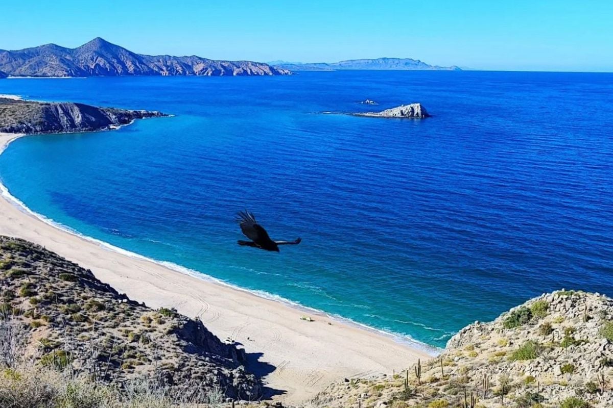 Aerial view of a secluded beach with white sand, turquoise and deep blue waters, rocky coastline, and mountains in the distance under clear sky