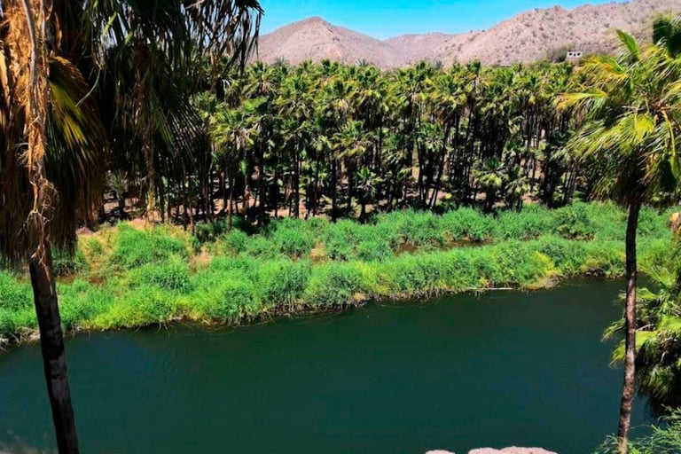 Lush oasis with turquoise river, palm trees, and desert mountains under clear blue sky