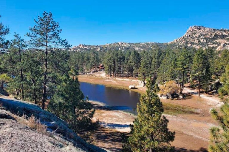Mountain landscape with a blue pond surrounded by evergreen forest, rocky terrain, and clear blue sky