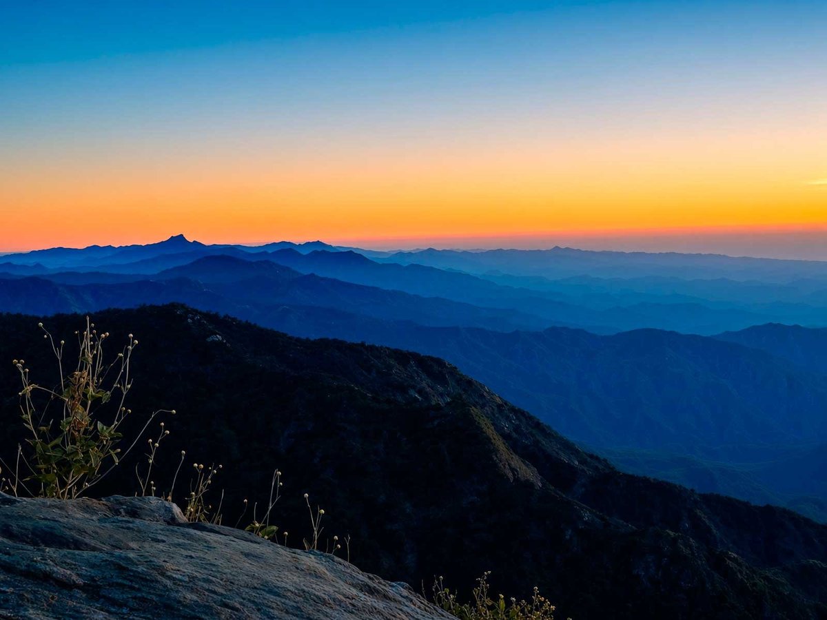 Sierra La Laguna mountain range at sunset with wildflowers in the foreground